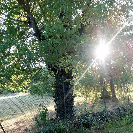 Il Giardino Sul Tevere Apartamento *