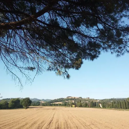 Il Giardino Sul Tevere Apartamento